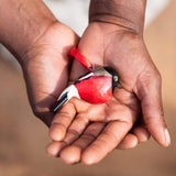 Wooden ornament | Bullfinch